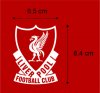 Liverpool front patch.jpg