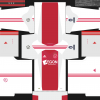 Ajax 2010 11 Home ucl.png