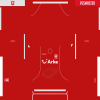 FC Twente 2008 09 Home.png