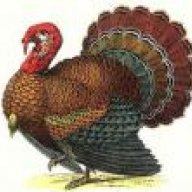 GobbleGobble