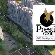 prestigeevergreenb