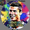 WinningEvolution