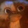 GIZMO-10
