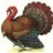 GobbleGobble