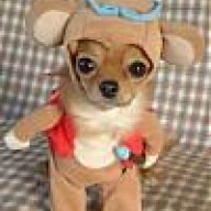 Mourinhosdog