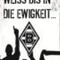 Das:Fohlen