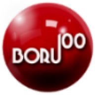 BORU100