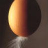 such a egg