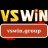 vswingroup